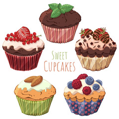 Group of vector colorful illustrations on the sweets theme; set of different kinds of cupcakes decorated with berries, chocolate or nuts. Pictures contain realistic shadows and glare.