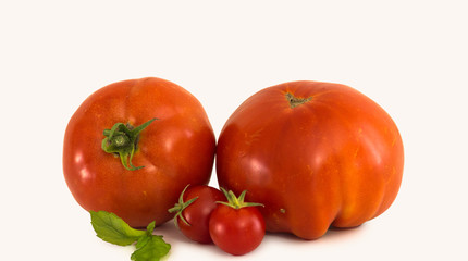 tomtoes ripe red isolated in white