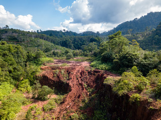 Obraz premium Aerial drone view of deforestation of a tropical rainforest to make room for palm oil and rubber plantations