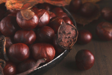 Heap of chestnuts on a plate on dark backgound