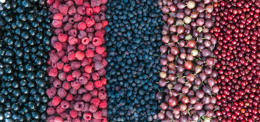 Berries of gooseberries, black currants, raspberries, shadbush, cerasus virginica on a wooden background.