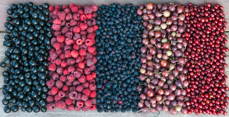Berries of gooseberries, black currants, raspberries, shadbush, cerasus virginica on a wooden background.