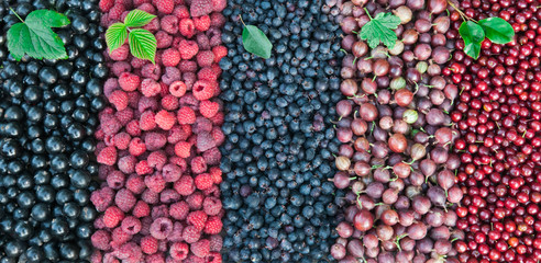 Berries of gooseberries, black currants, irgi, raspberries, shadbush, cerasus virginica on a wooden background. With green leaves of plants.