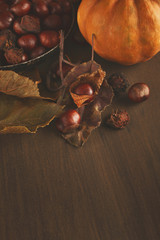 Beautiful pumpkins with leaves and chestnuts on wooden table