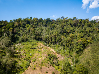 Fototapeta na wymiar Aerial drone view of deforestation of a tropical rainforest to make room for palm oil and rubber plantations