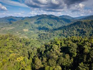Fototapeta premium Aerial drone view of lush, green tropical rainforest