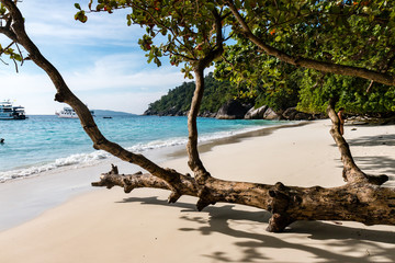 Beautiful tropical islands with lush green foliage and granite rocks (Similan Islands, Thailand)