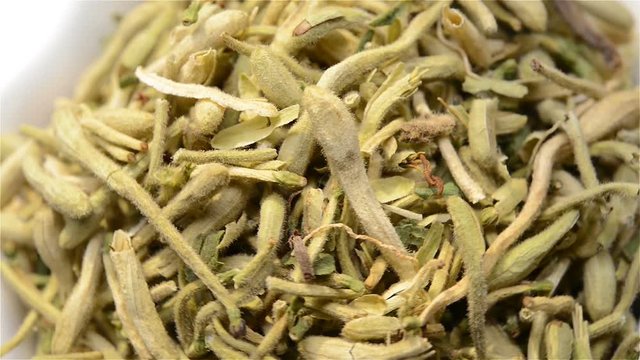 Chinese herb medicine of Lonicerae Japonicae Flos or Japanese Honysuckle Flower Bud rotating close up