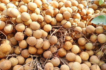 Longan fruit at street food