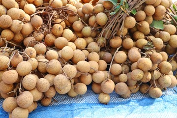 Longan fruit at street food