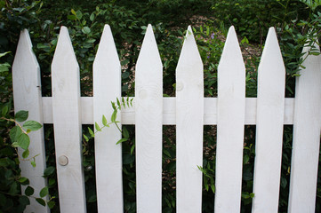 White fence in garden background