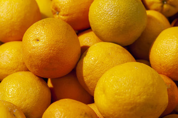 Fresh Mandarins spread out evenly in the shop window.