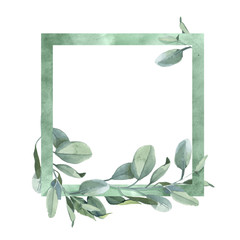  Square frame with green and blue eucalyptus leaves isolate on white background