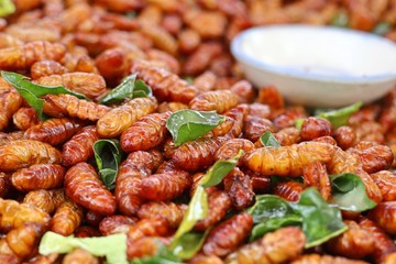 Fried Insect at street food
