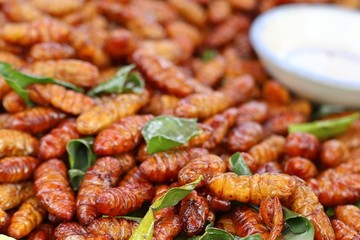Fried Insect at street food