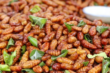 Fried Insect at street food