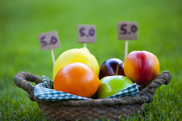 fruits basket summer garden 