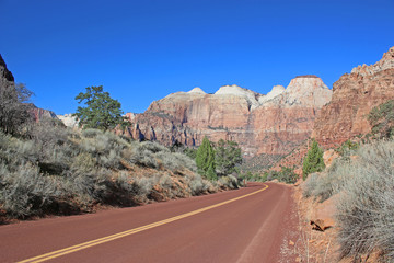 Road in Zion National Park, Utah