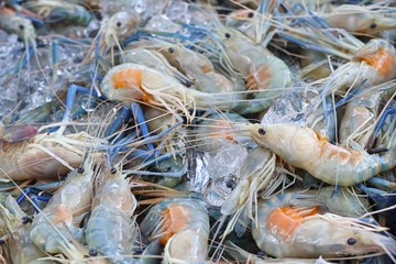 fresh shrimp at street food