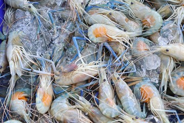 fresh shrimp at street food