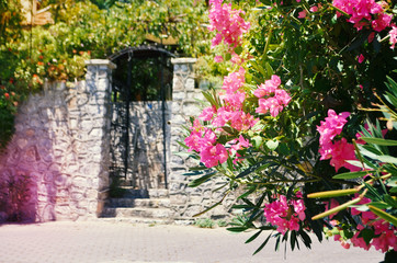 Typical Mediterranian outdoor street exterior in summer. Bougainvillea flowers blooming