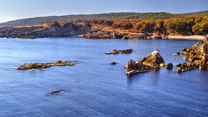 Beautiful landscape on rocky shore