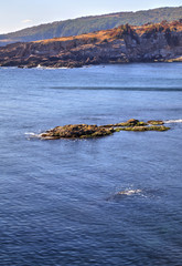 Beautiful landscape on rocky shore