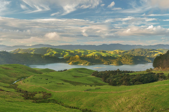  View over Coromandel peninsula from state highway 25 in the winter evening after rain. Near Manaia, 15 km south of Coromandel town. New Zealand North Island