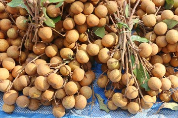 Longan fruit at street food