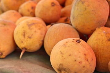 Santol fruit in the market