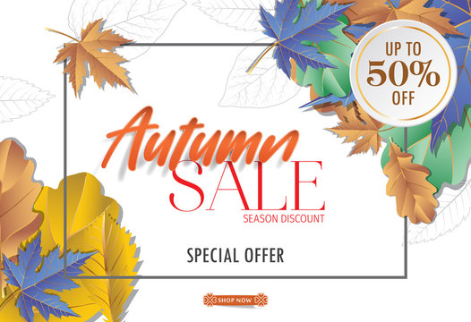 Autumn sale background layout decorate with leaves for shopping sale or promo. Autumn special offer design vector.