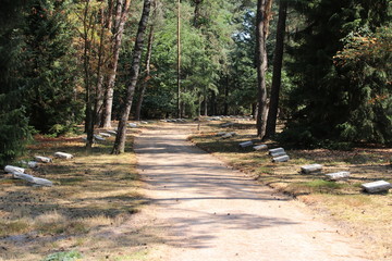 field of honour in Loenen, where soldiers, resistance members, political prisoners or civilians are buried after world war 2.