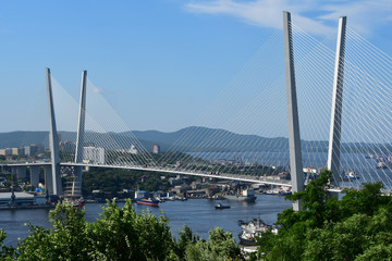 Fototapeta premium ostok, Russia. View for Vladivostok city in summer in sunny day. Cable-stayed bridge over Zolotoy Rog Bay in Vladivostok