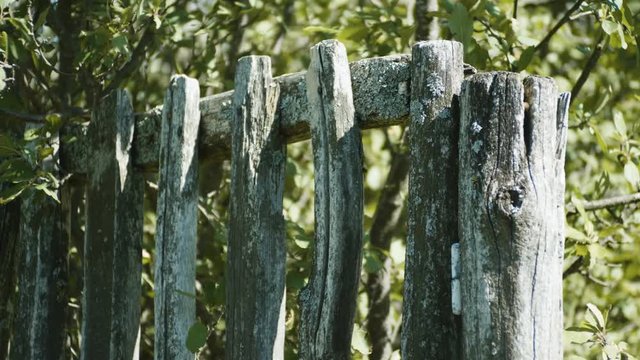 The russian countryside. Old unpainted wooden fence. 4K
