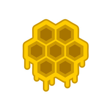 honey hive illustration