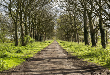 Spring Causeway
