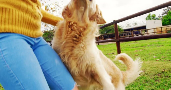 Beautiful woman playing with her dog 4k