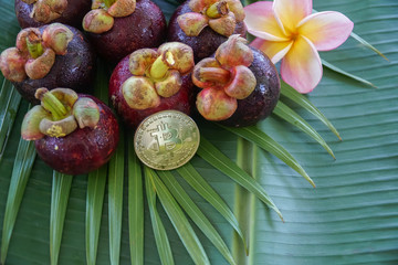 Group of Fresh Exotic Tropical Thai Fruit Mangosteens (Garcinia mangostana) with Digital Cryptocurrency Bitcoin on Banana Leaf