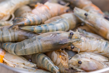 Fresh shrimp prepared for BBQ. close up