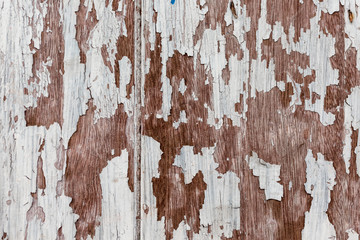The old wooden wall texture as a background
