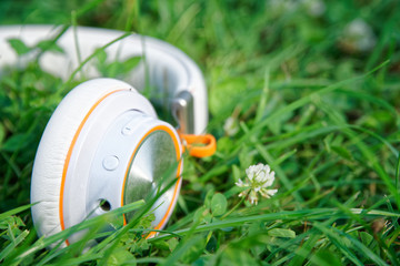 Headphone lies on green grass in sunny day, business concept