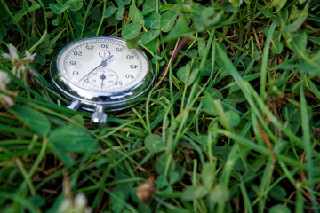 Stopwatch lies on green grass, sportive concept