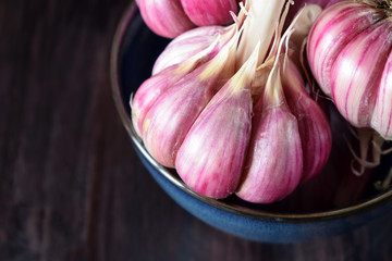 Freshly picked garlic heads in a blue bowl. Copy space