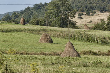 Slopes of the Carpathian Mountains