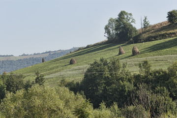Fototapeta na wymiar Slopes of the Carpathian Mountains