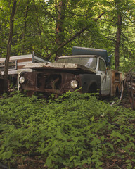 Abandoned Pickup