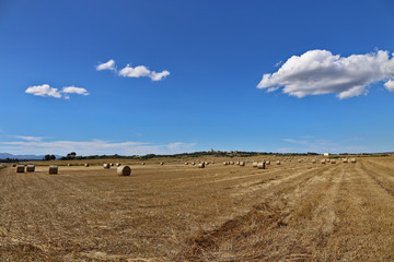 Obraz premium Countryside with crops and castle