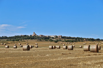 Fototapeta premium Countryside with crops and castle