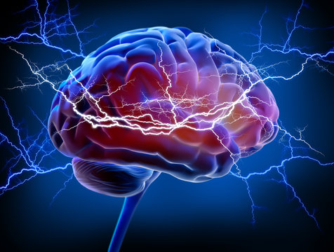 Gehirn - Energie - Intelligenz