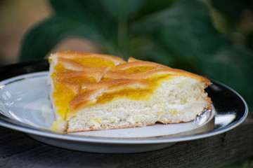 Delicious cake with apricot jam on a plate. Crostata with marmalade or peach jam filling. Homemadepie dessert with dandelion jam.